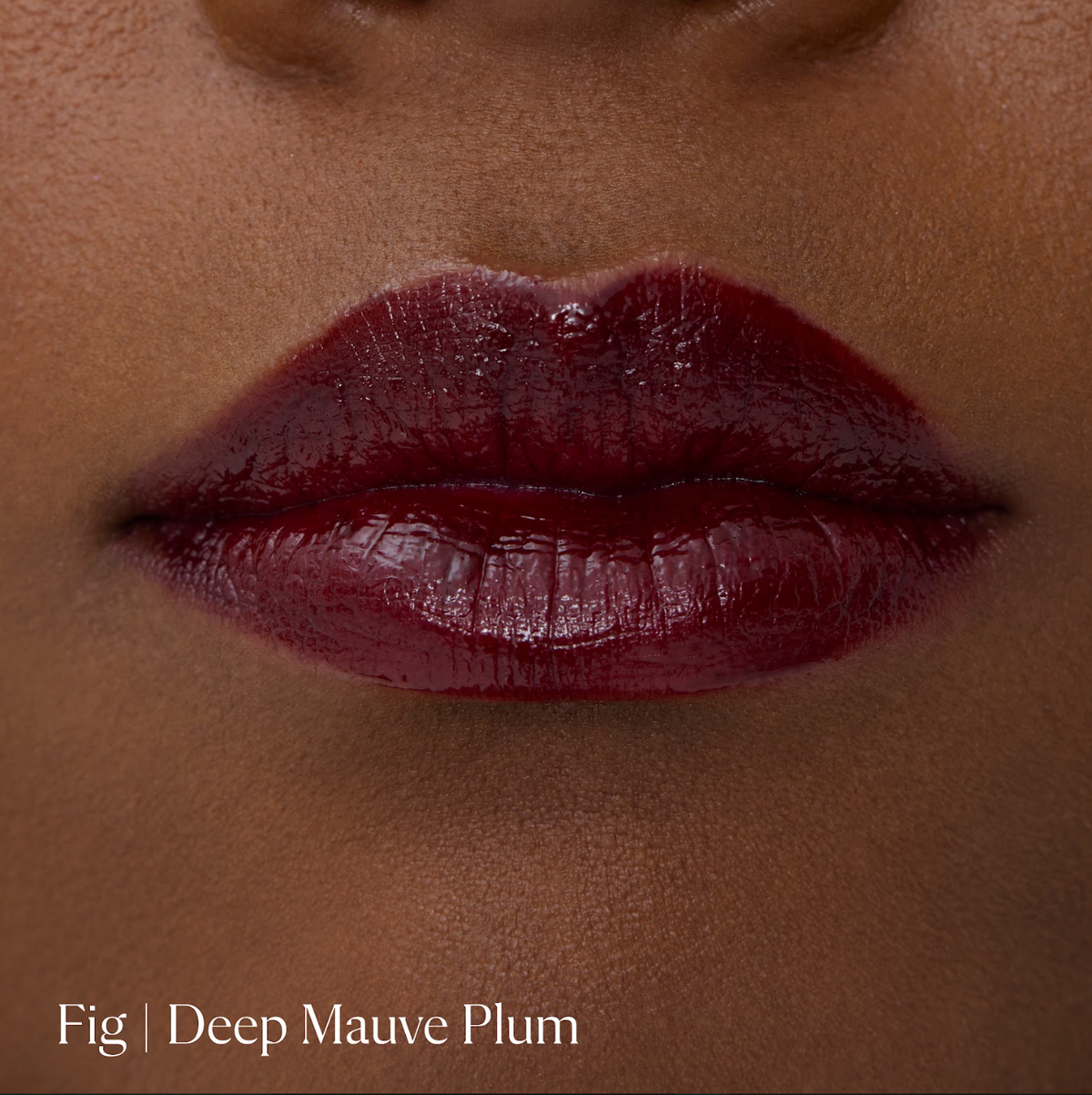Fig|||LIP-LL-FI